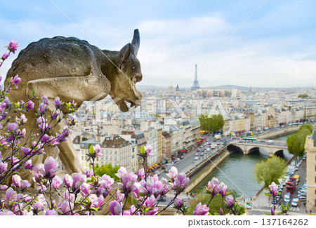 Gargoyle of Paris 137164262