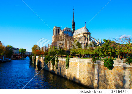 Notre Dame cathedral, Paris France 137164264