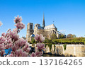 Notre Dame cathedral, Paris France 137164265