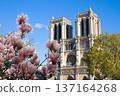 facade of Notre Dame cathedral, Paris, France 137164268