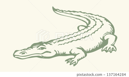 Vector drawing. The crocodile lies on the ground 137164284