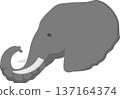 Elephant head vector illustration. Elephant, drawing, trunk, head, symbol, image, emblem 137164374