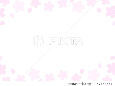 背景：白色背景上的櫻花邊框 137164565