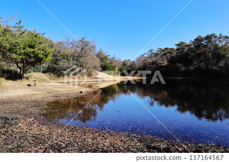 橫池(大池)風景 橫池(大池)風景 137164567