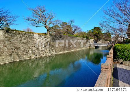 靜岡縣駿府城景色 靜岡縣駿府城景色 137164571
