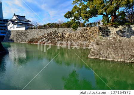 靜岡縣駿府城景色 靜岡縣駿府城景色 137164572