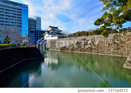 靜岡縣駿府城景色 靜岡縣駿府城景色 137164573