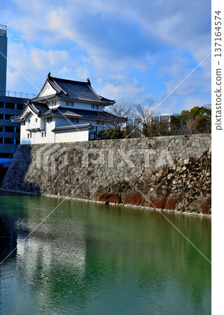靜岡縣駿府城景色 靜岡縣駿府城景色 137164574