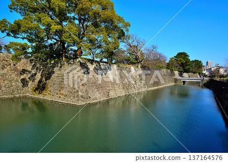 靜岡縣駿府城景色 137164576