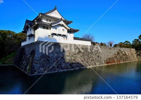 靜岡縣駿府城景色 靜岡縣駿府城景色 137164579