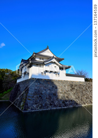 靜岡縣駿府城景色 靜岡縣駿府城景色 137164589