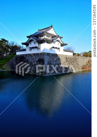 靜岡縣駿府城景色 靜岡縣駿府城景色 137164595