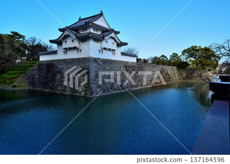 靜岡縣駿府城景色 137164596