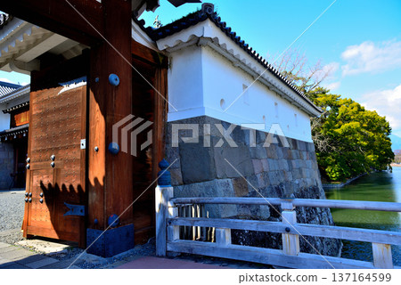 靜岡縣駿府城景色 137164599