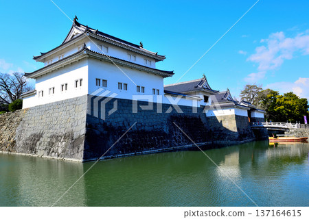 靜岡縣駿府城景色 137164615