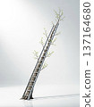 Conceptual surreal illustration of business growth, ladder evolving into tree symbolizing progress 137164680