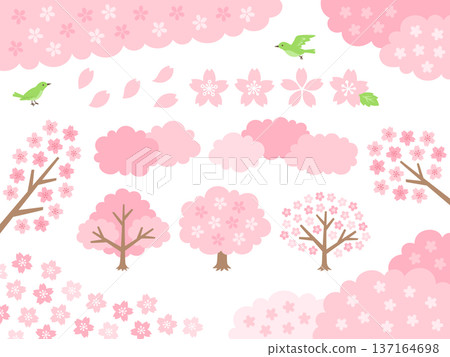 Cherry blossom and tree decoration illustration set Cherry blossom and tree decoration illustration set 137164698