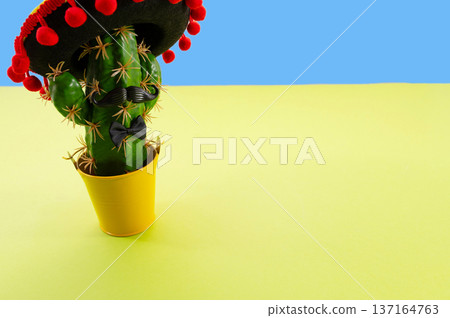 Composition for Cinco de Mayo concept, space for text Composition for Cinco de Mayo concept, space for text 137164763