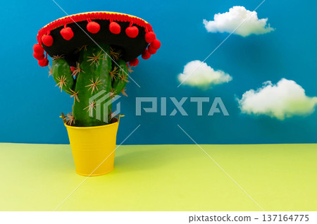 Composition for Cinco de Mayo concept, space for text Composition for Cinco de Mayo concept, space for text 137164775