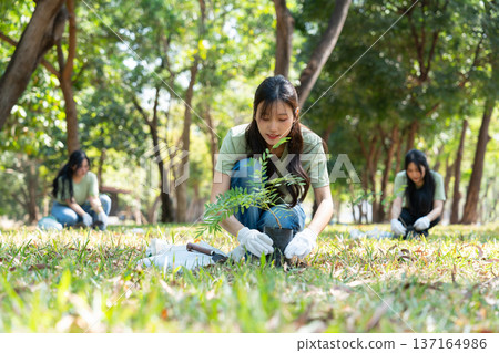 The volunteers show responsibility and teamwork as they collaborate to plant trees and care for plants. Their efforts support sustainability and conservation, helping earth thrive. Volunteer concept 137164986