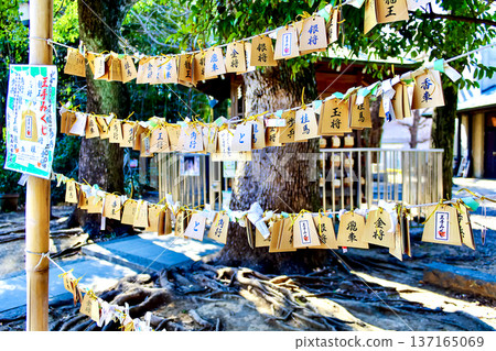 【東京】羽生森八幡神社的早春-神社內的寓意吉祥之地 【東京】羽生森八幡神社的早春-神社內的寓意吉祥之地 137165069