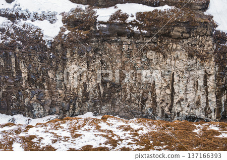 Basalt rock wall texture with snow and moss field in rugged icelandic natural landscape 137166393