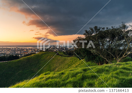 Sunset sky over Auckland city with sky tower from Mount Eden with green grass hill Sunset sky over Auckland city with sky tower from Mount Eden with green grass hill 137166413