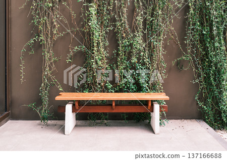 Wooden bench stands against a lush ivy wall 137166688