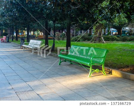 Colored benches in the park. Park infrastructure. Greenery in December. 137166729