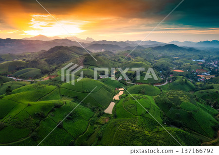Sunset over Long Coc tea hill in agricultural field at Vietnam Sunset over Long Coc tea hill in agricultural field at Vietnam 137166792