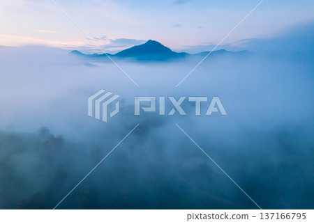 Scenic Long Coc tea hill with foggy and mountain in the dawn Scenic Long Coc tea hill with foggy and mountain in the dawn 137166795