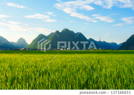 Lush green field with mountain and rural village under blue sky in countryside Lush green field with mountain and rural village under blue sky in countryside 137166831