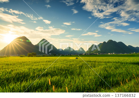 Sunset shining over Bac Son Valley with lush mountain, rice field and farmer in countryside Sunset shining over Bac Son Valley with lush mountain, rice field and farmer in countryside 137166832