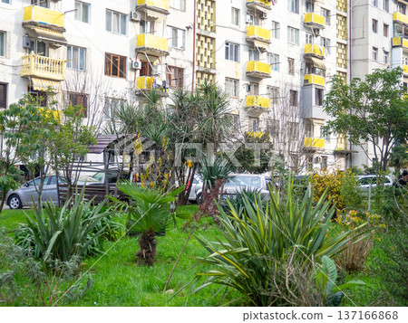 An area planted with plants near an apartment building. Tall old building. Streets in Georgia. Ecology in the city. An area planted with plants near an apartment building. Tall old building. Streets in Georgia. Ecology in the city. 137166868