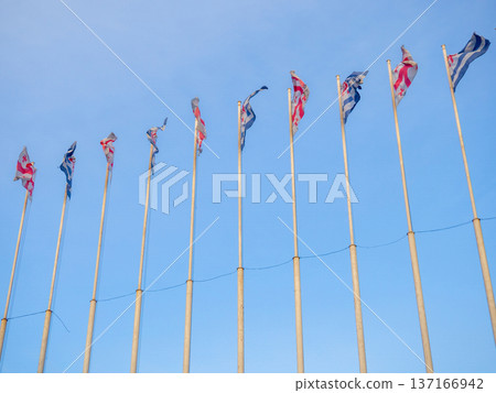 Many flags on flagpoles. Flags in the wind. State symbols 137166942