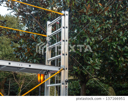 Staircase by the tree. Metal ladder near a bush. Staircase by the tree. Metal ladder near a bush. 137166951