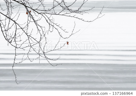 Minimalistic natural landscape, winter snow background Minimalistic natural landscape, winter snow background 137166964