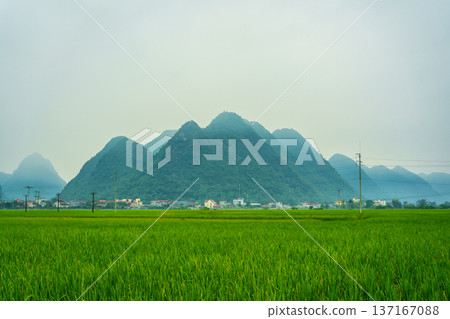 Scenic Bac Son Valley with mountain and rural village among rice fields in countryside Scenic Bac Son Valley with mountain and rural village among rice fields in countryside 137167088