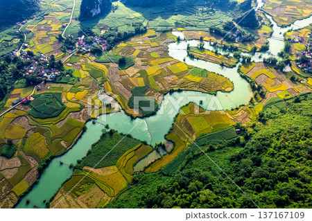 Winding river among the rice paddy field in countryside at Phong Nam Valley 137167109