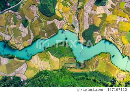 Winding river among the rice paddy field in countryside at Phong Nam Valley Winding river among the rice paddy field in countryside at Phong Nam Valley 137167110
