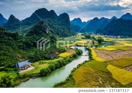 Phong Nam Valley with rice field and river flows through traditional village in countryside at Vietnam 137167117
