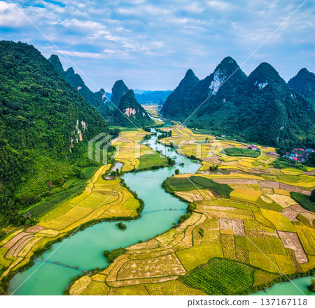 Phong Nam Valley with rice field and river flows through traditional village in countryside at Vietnam 137167118
