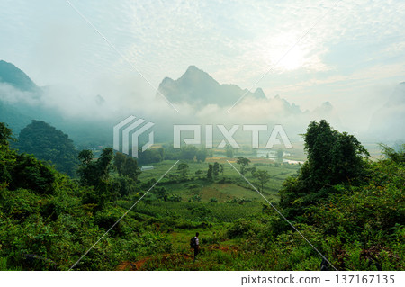Lush forest with foggy mountain in Phong Nam Valley at the morning 137167135