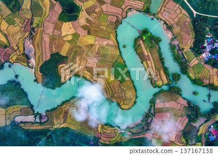 Winding river among the rice paddy field in countryside at Phong Nam Valley 137167138