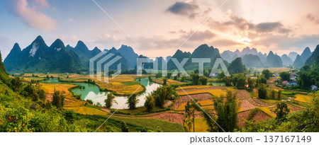 Phong Nam Valley with rice field and river flows through traditional village in countryside 137167149