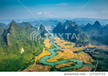 Phong Nam Valley with rice field and river flows through traditional village in countryside 137167155