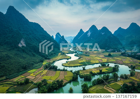 Phong Nam Valley with rice field and river flows through traditional village in countryside 137167159