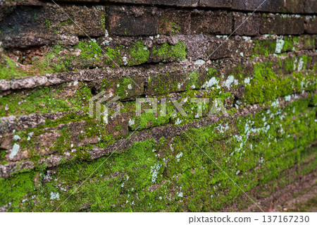 Moss covered weathered old stone brick wall texture 137167230