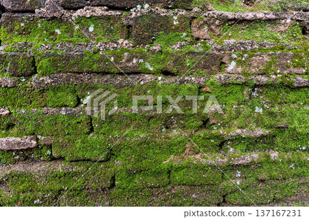 Moss covered weathered old stone brick wall texture Moss covered weathered old stone brick wall texture 137167231