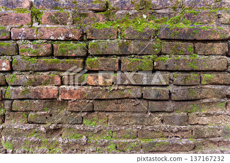 Moss covered weathered old stone brick wall texture 137167232
